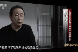 傅政华案细节曝光图片