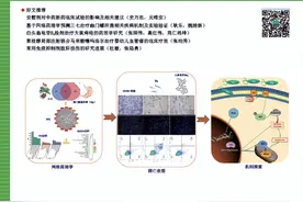 安慰剂对中药新药临床试验的影响及相关建议图片