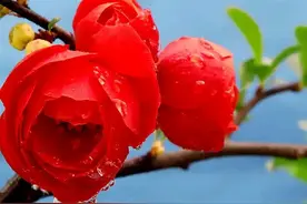 人到中年，还有桃花运的人，往往都是这种人图片