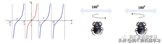 蜣螂算法(原理)