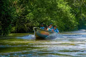 亚马逊雨林有多狠？为啥有人说亚马逊雨林是人类禁区？有何危险？图片