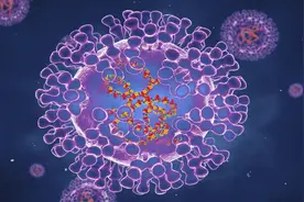 新的传染病已经出现？猴痘传播11国，到底有多厉害？图片