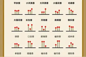 古代烧香二十四香谱图图片