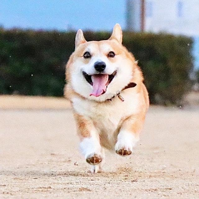 Ъ㻹֪Щ