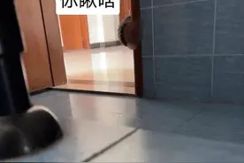 高校教师偷窥？师徒反目？最近教育界的瓜有点多了，让您见笑了图片