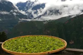 茶马古道，酿一缕高原的香图片