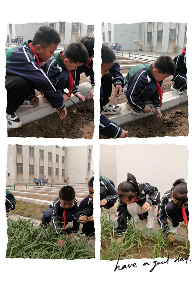 ����������ߣ��Ͷ�����٣����챤ʵ��ѧУСѧ����չ�Ͷ�������