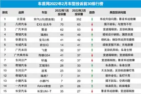 315来袭：二月汽车投诉榜单，看哪些汽车在风口浪尖？图片