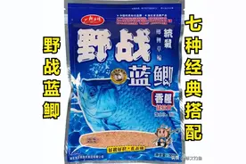 蓝鲫的用法居然这么多，分享7种最好用的搭配包揽一年四季鱼情图片