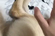 每日一笑：​笑容逐渐变态…这个眼神懂的都懂图片