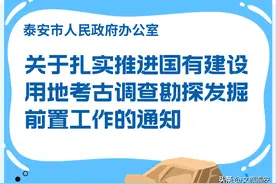考古那些事儿 | 一图读懂！有关考古调查勘探发掘前置工作！图片