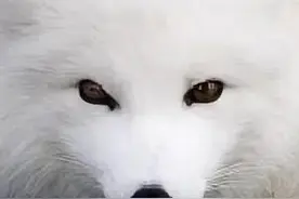 一品一阳指和六脉神剑谁厉害？图片
