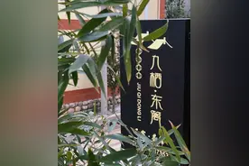 西安周末好去处 | 喝茶露营都可的关中小院，值得你来图片