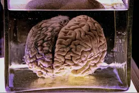 甲醛危害这么大，为什么还要用它图片