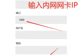 教你一分钟内网设置代理服务器上钉钉微信，通过socks5代理图片