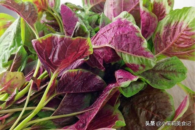 春天，“5菜2果”要多吃，叶酸含量高，应季还便宜，开春打好基础