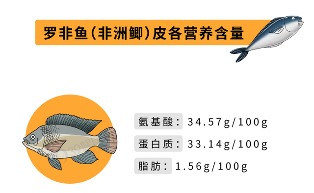 鱼皮胶原蛋白和牛皮胶原蛋白 2026年鱼皮胶原蛋白和牛皮胶原蛋白的区别