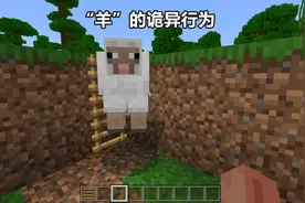 《我的世界》的世界观中有什么有趣，且“细思恐极”的游戏设定？图片