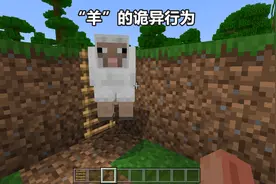 《我的世界》的世界观中有什么有趣，且“细思恐极”的游戏设定？图片