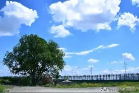 #健康中国行动2030# 静脉“输液港”：无痕输液，无虑生活！图片