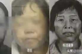 “梅姨”案两人贩被执行死刑！6年了，为什么还抓不到梅姨本人？图片