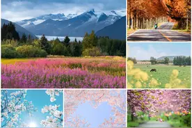 为啥你的照片，不如摄影师的，因为同样的景物你俩看到的并不同图片