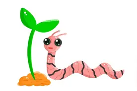 小蚯蚓大作用，蚯蚓对农业竟有这么大帮助！图片