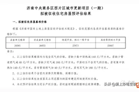 济南CBD西片区拆迁补偿标准确定图片