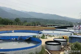 山地上养鱼？！在汉中实现了图片