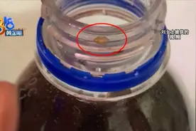 “百事可乐”放了三个月，瓶口出现小虫子图片