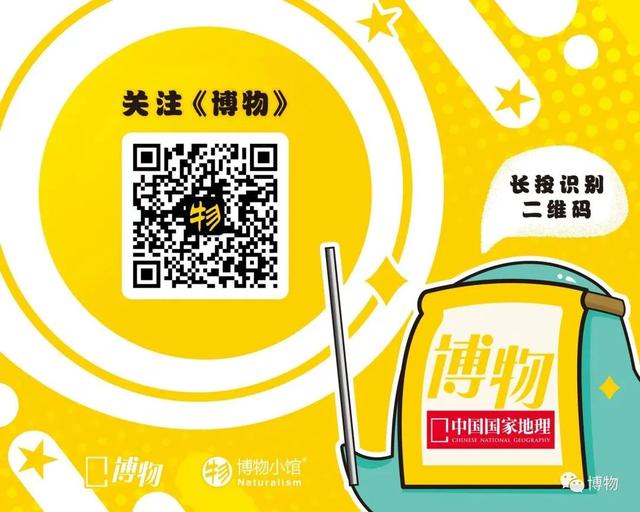 140万只虫装点皇宫？！其实它还是珠宝圈顶流…