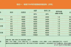 电商团队薪酬规划与设计（绩效制、提成制、分红制、阿米巴）图片