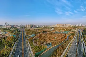 藏不住了！初冬合肥骆岗公园美得不像话图片
