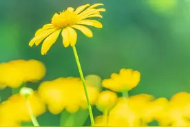 20句慰藉心灵的暖心句子，瞬间温暖整个心窝图片