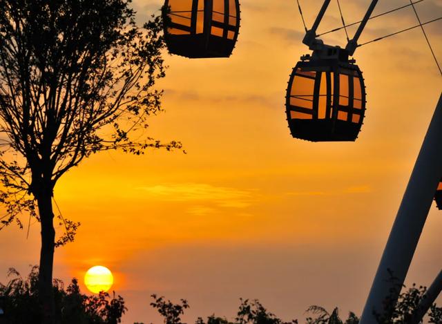 �������ͣ�Ԫ���ڻ�����~