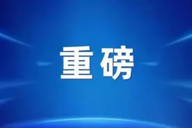 重磅！李思锋团队联合多家单位破译漆树基因组 揭示木质素和漆酚合成相关的代谢通路图片