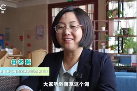 菌草是什么草图片