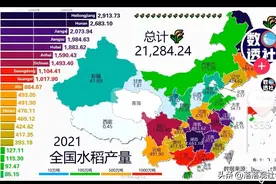 大米和小麦，谁才是中国人餐桌上的扛把子？数据告诉你图片