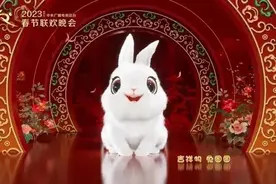 王宝强为什么能在兔年春晚创造历史？三个节目！图片