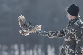 我们为何特殊？多数动物的排泄跟交配都在一个器官，人类却不是图片