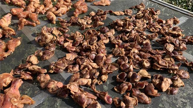 天冷，我家每年做10斤鸡胗，鲜美好吃又筋道，比腊肉腊鱼香多了