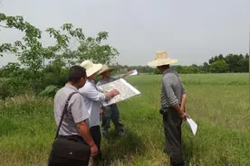 宅基地和耕地图片