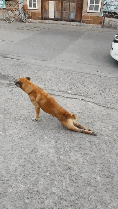 Ϊʲôϲװԭô˼