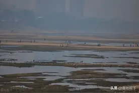 过渡取水，长江真的生气了？图片