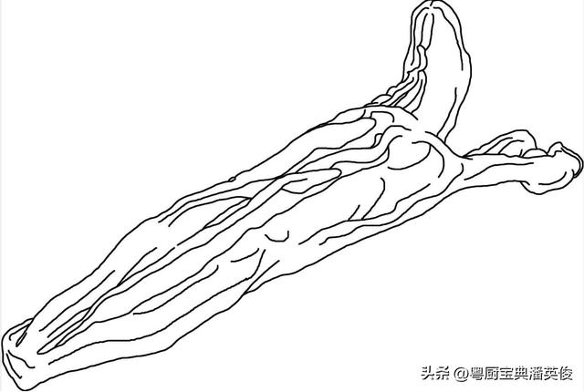 敏肚与花胶的区别 敏肚与黄花胶的区别