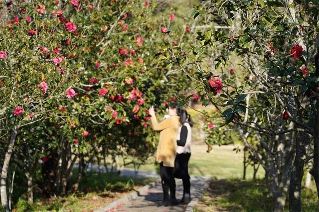 有一种叫云南的生活｜收藏！冬游楚雄最全打卡线路，带你玩转暖冬