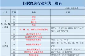 我国经济行业的20个门类和97个大类都有哪些图片