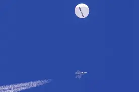 渤海行动！先击飞鸟，后捕黑鱼图片