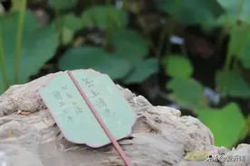 中国传统文化常识、民俗别称大全，建议收藏！图片