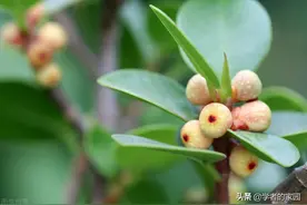 神话不是笑话，必须认真对待图片